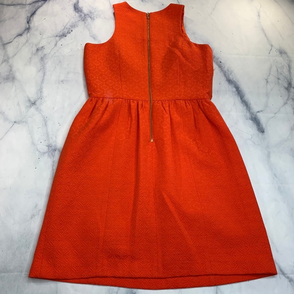 Cynthia Steffe Bright Orange Textured Dress - Picture 3 of 8